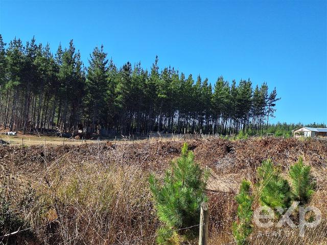 Parcela en Pichilemu