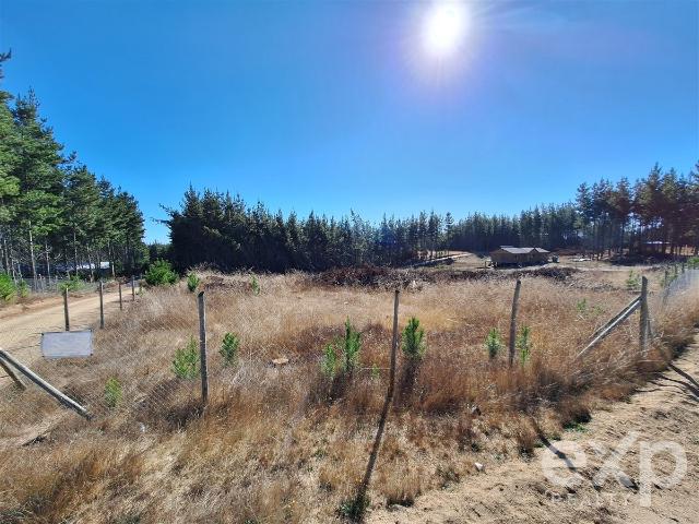 Parcela en Pichilemu