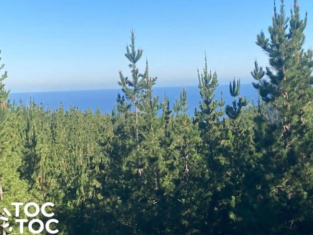 Parcela en Pichilemu