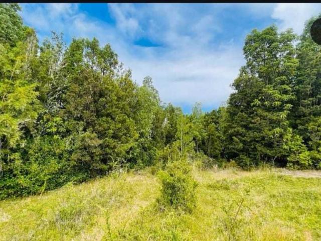 Terreno en venta en Valdivia, Los Ríos