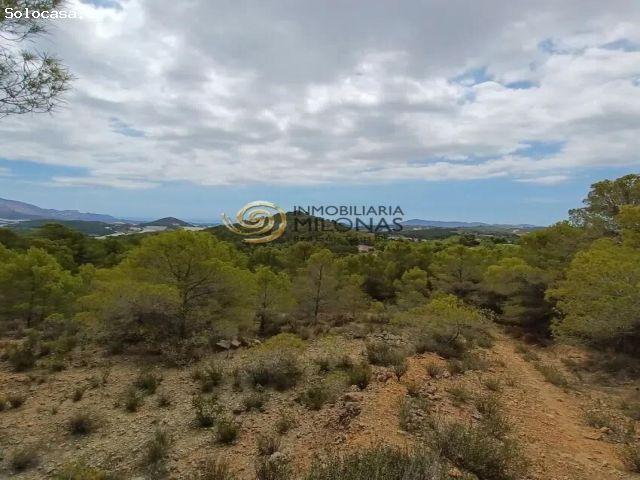 Local Comercial en venta en la Marina Baixa, Valencia