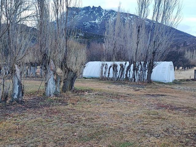 PARCELA EN PUERTO IBAÑEZ