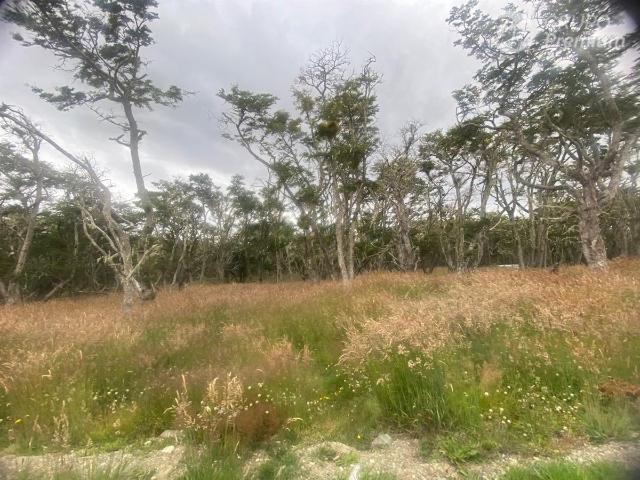 Terreno en venta en Punta Arenas, Magallanes Y De La Antártica Chilena