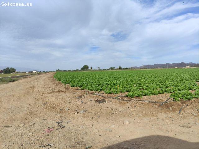 Local Comercial en venta en La Alcanara y Los Bucanos, Alto Guadalentín