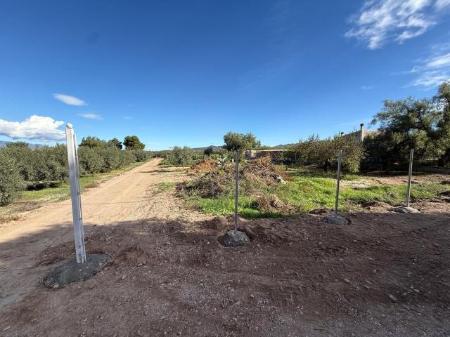 Terreno en venta en Virgen de las Huertas, Alto Guadalentín