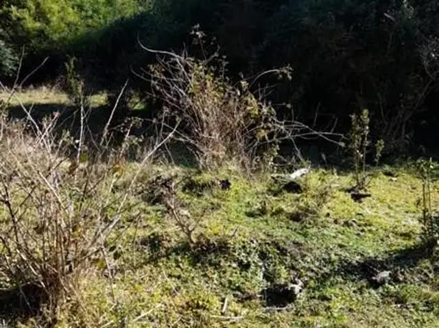 Terreno en venta en Panguipulli, Los Ríos