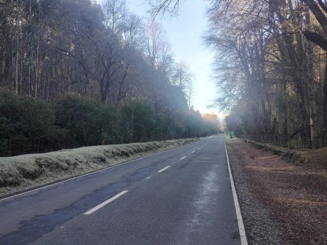 Terreno en venta en Quilaco, Biobío