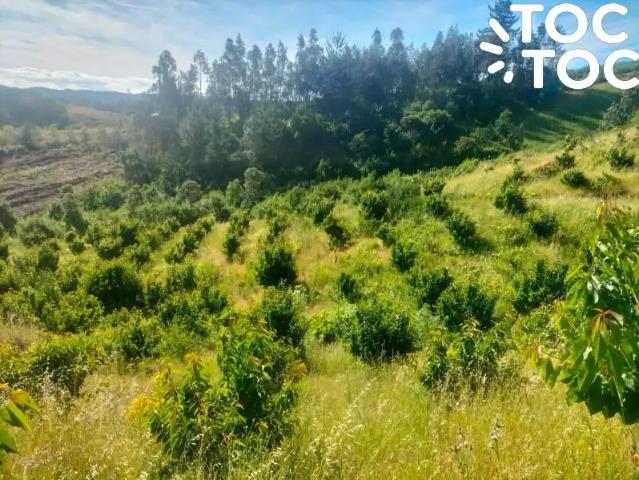 Terreno en venta en Quillón, Provincia de Diguillín