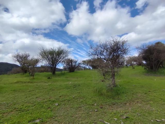 Parcela en Quilpué