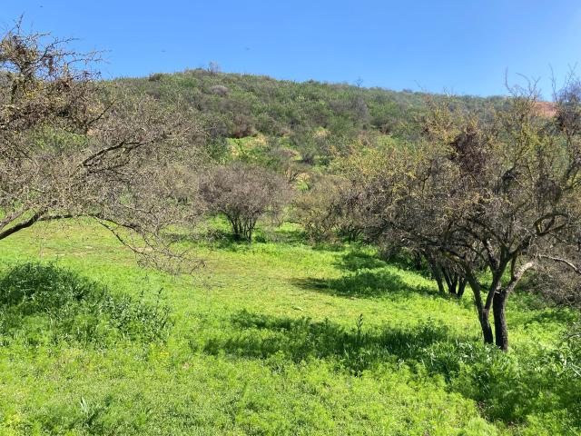 Parcela en Quilpué