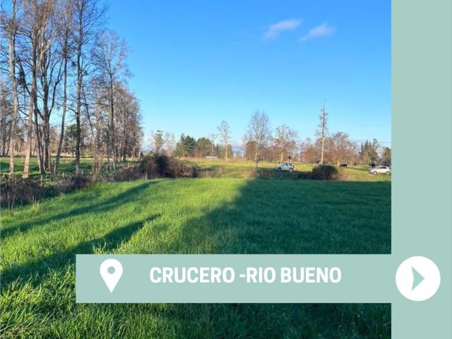 Terreno en venta en Río Bueno, Los Ríos