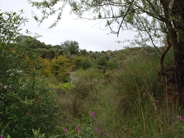 Terreno en venta en Riogordo