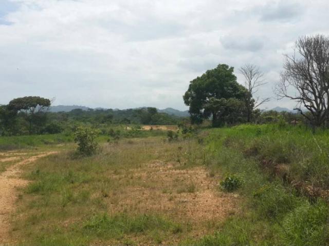 Finca en venta en Barrera, Carabobo