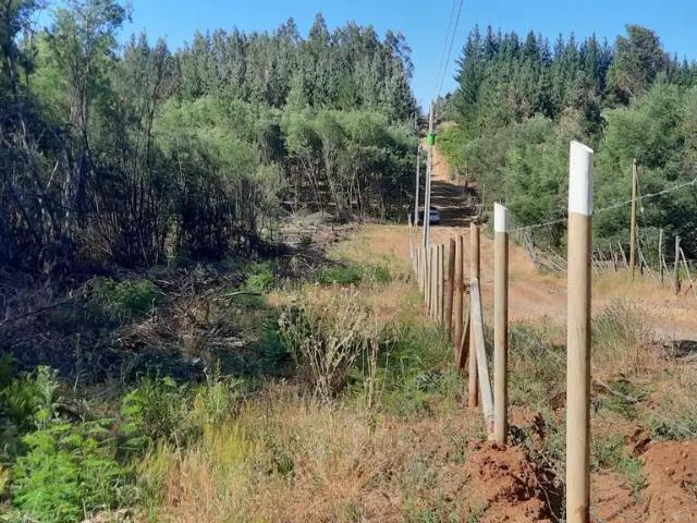 Terreno en venta en San Ignacio, Provincia de Diguillín