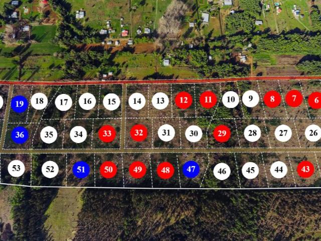 Parcela en San Ignacio