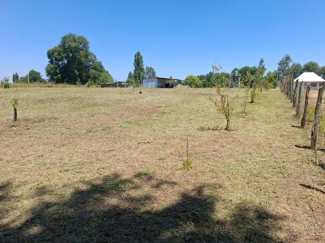 Parcela en San Ignacio