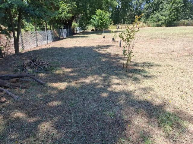 Parcela en San Ignacio