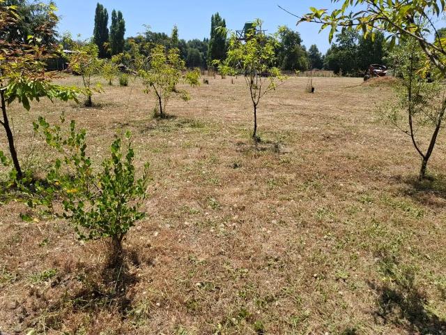 Parcela en San Ignacio