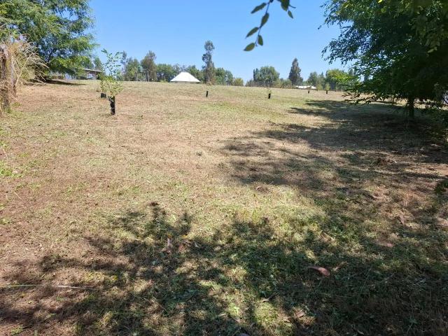 Parcela en San Ignacio