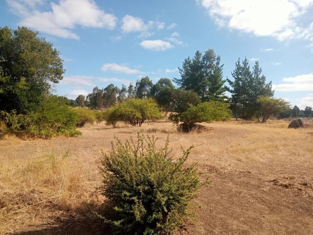 Parcela en San Javier