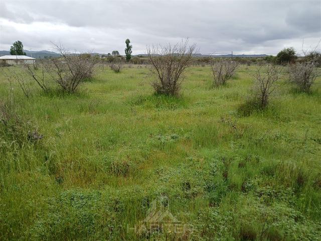 Parcela en San Javier
