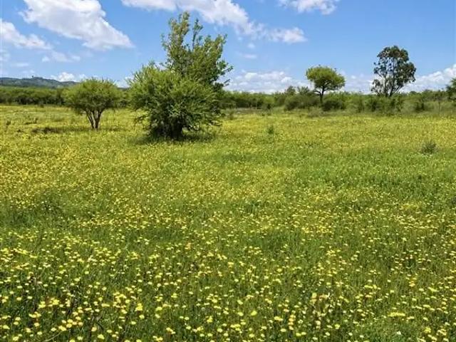 Terreno en venta en San Javier, Maule