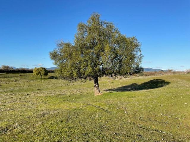 Parcela en San Javier, 5000m2 con Rol y Crédito Directo!