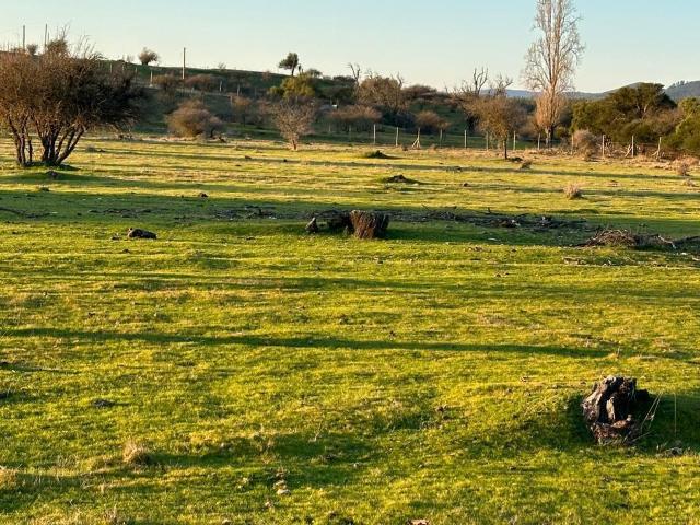 Parcela en San Javier, 5000m2 con Rol y Crédito Directo!