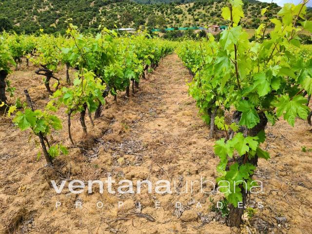 Terreno en venta en San Javier, Maule
