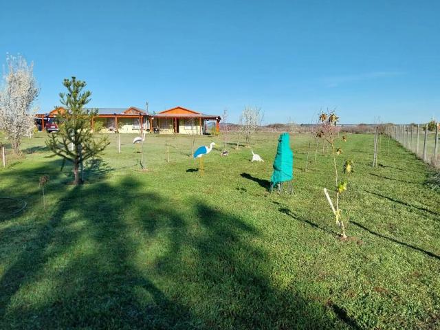 Parcela en San Javier