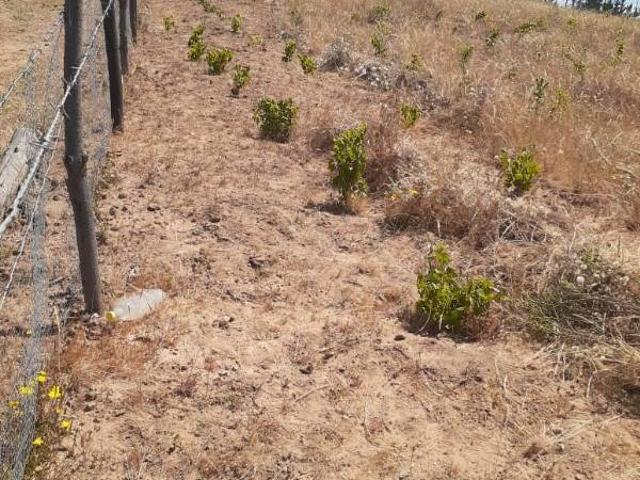 Parcela en San Javier