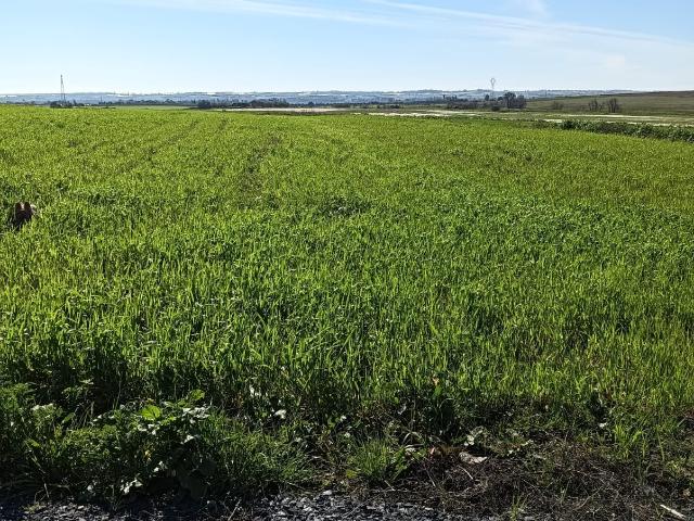 Terreno en venta en Comarca Metropolitana de Huelva, Andalucía
