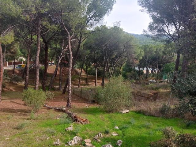 Terreno en venta en San Martín De Valdeiglesias