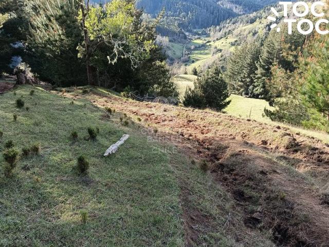 Terreno en venta en San Pablo, Los Lagos