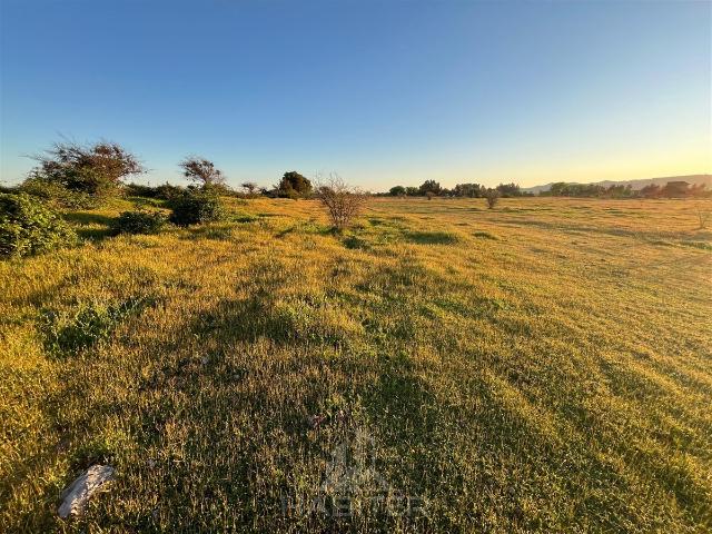 Parcela en San Rafael