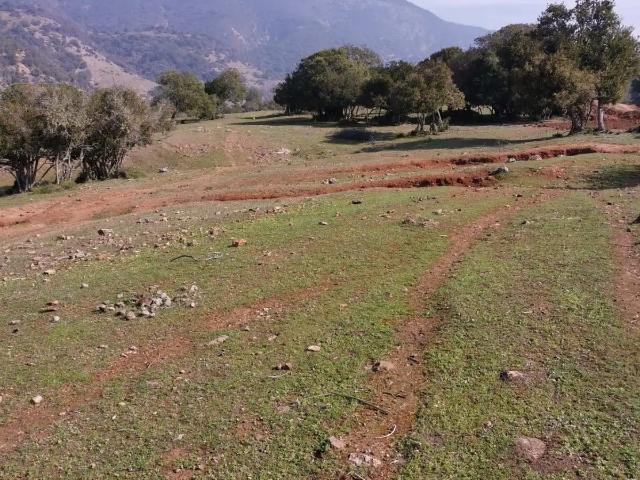 Terreno en venta en Santa Cruz, Libertador General Bernardo O'higgins