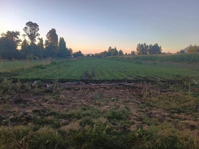 Terreno en venta en Santa Cruz, Libertador General Bernardo O'higgins