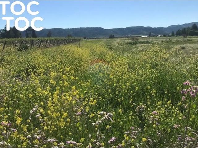 Terreno en venta en Santa Cruz, Libertador General Bernardo O'higgins