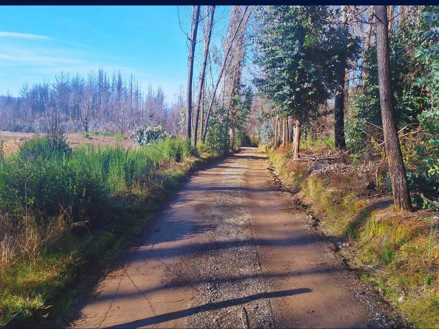 Terreno en venta en Santa Juana, Biobío