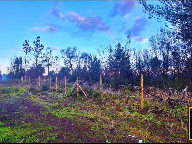 Terreno en venta en Santa Juana, Biobío