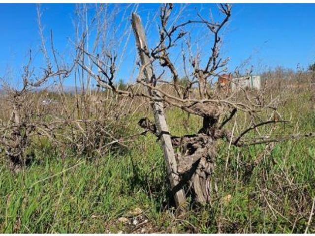 Local Comercial en venta en Pla de Mallorca, Baleares