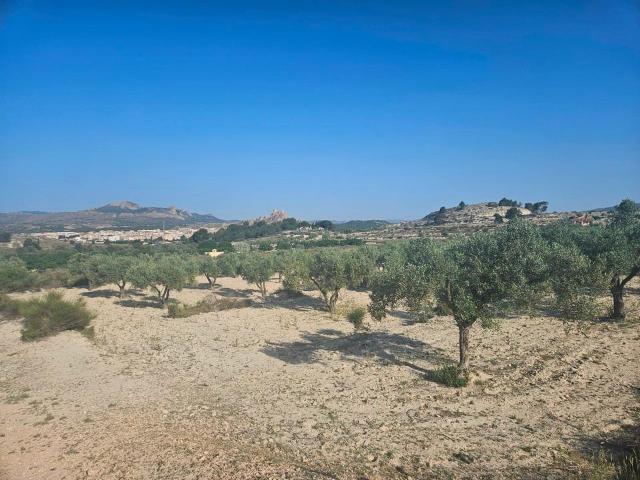 Terreno en venta en María Moliner, l'Alt Vinalopó / El Alto Vinalopó