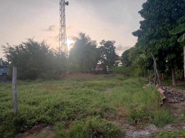 Terreno en venta en Silva, Falcón