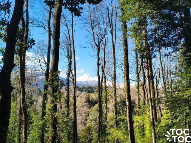Terreno en venta en Cunco, La Araucanía