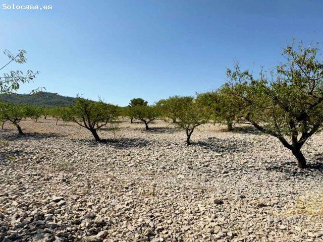 Local Comercial en venta en Rambla de Benito, Vega Alta del Segura
