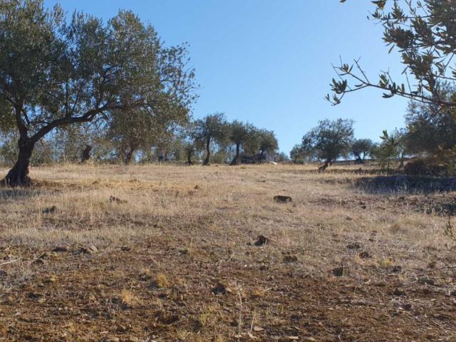 Terreno en venta en Tolox, Umbría