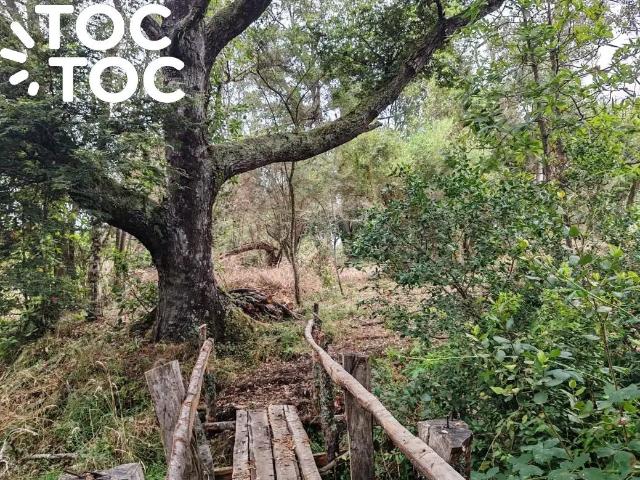 Terreno en venta en Teodoro Schmidt, La Araucanía