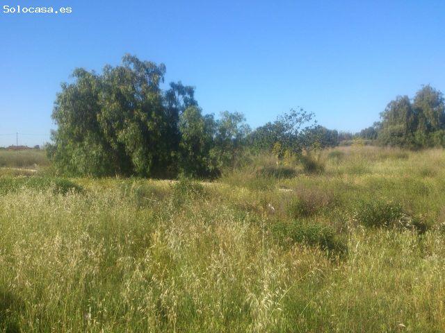 Local Comercial en venta en San José, Alto Guadalentín