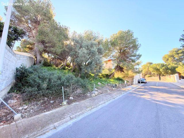 Local Comercial en venta en Urbanización Bonavista, la Ribera Baixa