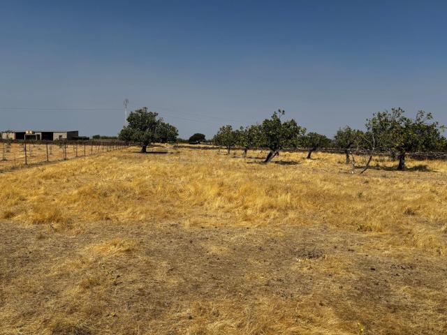 Terreno en venta en Valdefuentes, Extremadura